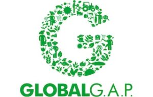 certificado global GAP